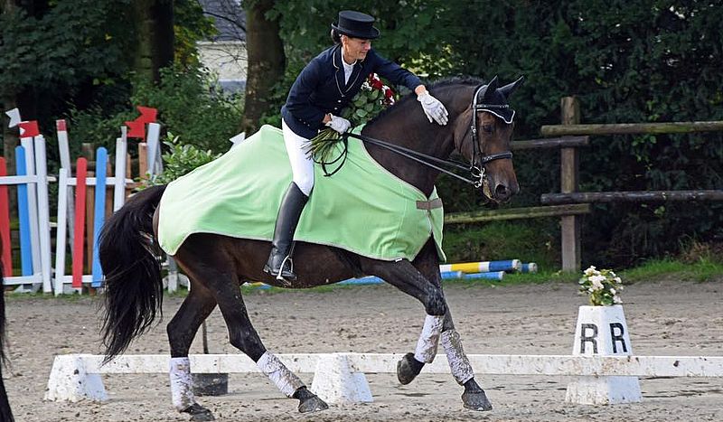 essen-steele, horst, reitclub