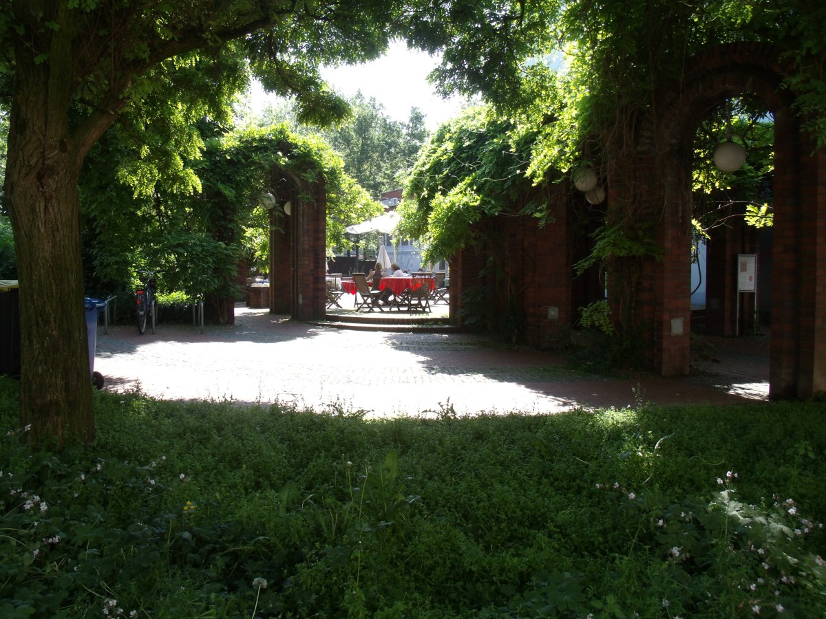 GEDC2424.jpg